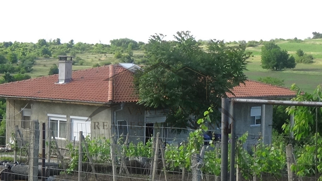 DSC00133