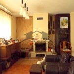 DSCF5370